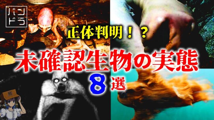 【都市伝説】正体判明！未確認生物の実態 ８選【パンドラのはこ】