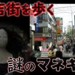 商店街の風景写真に映り込んだ「不気味なマネキン」を調査する【都市伝説】