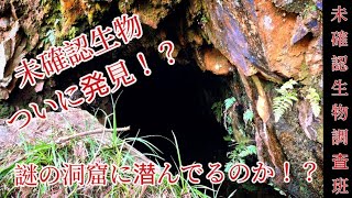 未確認生物調査班  ついに発見！ 捕獲か！？