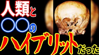 人類ではないと断定された謎の生命体の正体…世界中に残る超古代の地球への来訪者の痕跡【都市伝説】【ミステリー】【ぞくぞく】