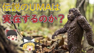 【ミステリー】ビッグフット　伝説の未確認生物【ゆっくり解説】