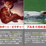 【閲覧注意】実際に写真に収められた未確認生物まとめ