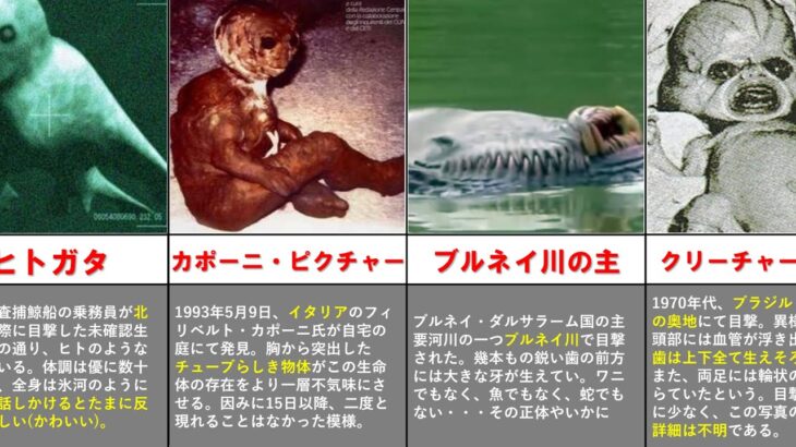 【閲覧注意】実際に写真に収められた未確認生物まとめ