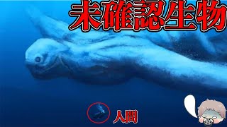 [未確認生物]謎の生物「ニンゲン」の正体