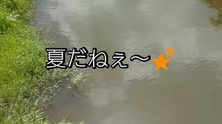 #未確認生物を発見、謎の怪鳥🐥