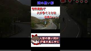 ライブカメラに映り込んだ「謎の黒い影」【都市伝説】