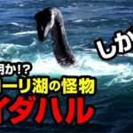 正体判明か⁉ しかし!! コッコーリ湖の怪物 アイダハル