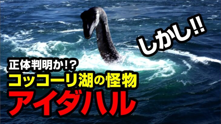 正体判明か⁉ しかし!! コッコーリ湖の怪物 アイダハル