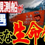 日本の南極観測船「宗谷」が遭遇した生命体…世界が探していた巨大な未確認生物の正体とは？【都市伝説】【ミステリー】【ぞくぞく】