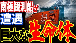 日本の南極観測船「宗谷」が遭遇した生命体…世界が探していた巨大な未確認生物の正体とは？【都市伝説】【ミステリー】【ぞくぞく】