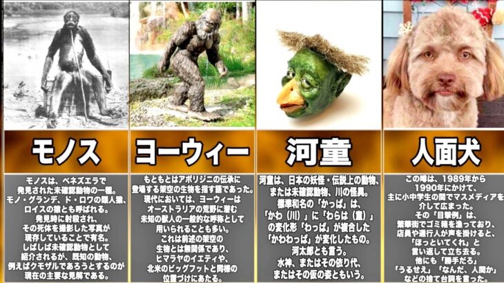 聞いて驚く”幻の未確認生物”