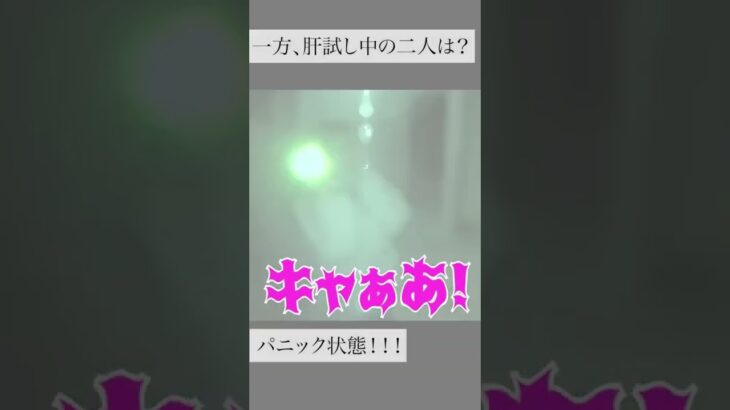 【ヤラセなし】怪奇現象シーン切り抜き