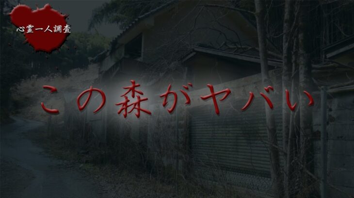 【心霊】番組史上初の異常事態　あちこちから聞こえる謎の声【モーテルサンリバー】