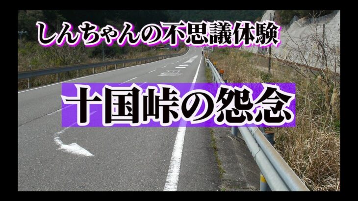 【心霊】十国峠の怨念　しんちゃんの不思議体験【超常現象】