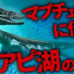 【ミステリー/未確認生物】高級リゾート地に出没!? マプチェ族に伝わるウアピの主「ナウエリート」