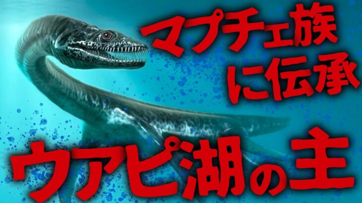 【ミステリー/未確認生物】高級リゾート地に出没!? マプチェ族に伝わるウアピの主「ナウエリート」