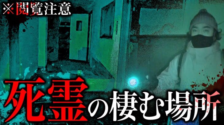 【心霊】死傷者16名…行くだけで呪われる最恐危険スポットで起きた怪奇現象【閲覧注意/コヤスタ】