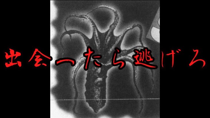 【ゆっくり解説】出会ったら逃げろ！謎の未確認生物1選【UMA】【東風谷カフェ】