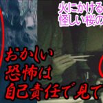 心霊 怖い映像）閲覧注意！｢マジ恐・･･｣最怖クﾗｽのコﾜい３心霊映像【一部反吐！！201