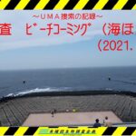 【未確認生物調査企画】現地調査　ﾋﾞｰﾁｺｰﾐﾝｸﾞ（海ほたる）（2021.5.29）