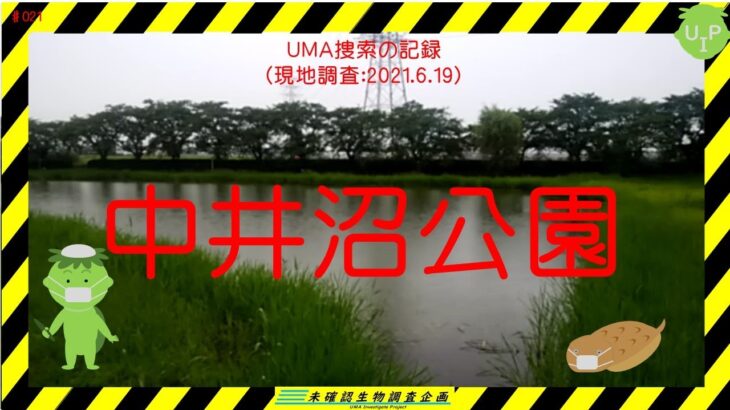 【未確認生物調査企画】現地調査　中井沼公園（2021.6.19）