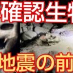 未確認生物‼️大地震の前兆か‼️日本の海岸で発見‼️2021年2月10日‼️😭