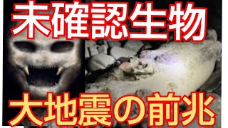 未確認生物‼️大地震の前兆か‼️日本の海岸で発見‼️2021年2月10日‼️😭