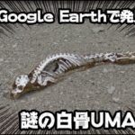 #42.UMA未確認生物図鑑(Google Earth UMA/ペルシア湾の海竜)