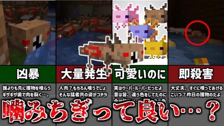 【マイクラ都市伝説】洋館に棲む呪われたウーパールーパー “Blood Axolotl（ブラッドアホロートル）”ガタガタ歯で噛みちぎられる恐怖【ゆっくり解説】