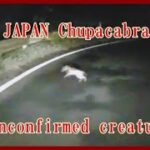 日本オオカミは九州に存在するかも？ＵＭＡ（Chupacabra）未確認生物チュパカブラ？未知との遭遇　japan Unconfirmed creature　＃オオカミ　＃山犬