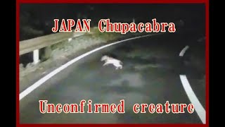 日本オオカミは九州に存在するかも？ＵＭＡ（Chupacabra）未確認生物チュパカブラ？未知との遭遇　japan Unconfirmed creature　＃オオカミ　＃山犬