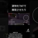 【Minecraft都市伝説】entity303