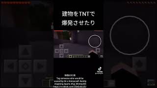 【Minecraft都市伝説】entity303