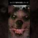 【マイクラ都市伝説】海外で有名なSMILE DOGを解説する動画 #Shorts