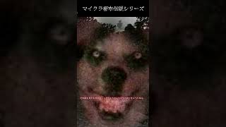 【マイクラ都市伝説】海外で有名なSMILE DOGを解説する動画 #Shorts