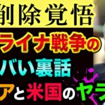 ウクライナ戦争の超ヤバい裏話「黒幕は誰？」儲かっているのはロシアとアメリカで経済制裁やSWIFT排除も意味なし【 ウクライナ情勢 株 日経平均 都市伝説 ロシアの歴史 】