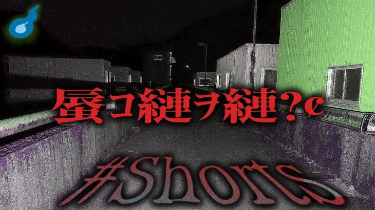 心霊現象。正木ダムできこえた #Shorts