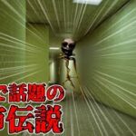 【初見ホラゲ】話題の海外都市伝説がホラーゲームに！【The Backrooms】