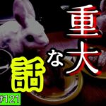 【事故物件】回転寿司に行ったら突然始まった重大な話【心霊スポット、ユーチューバー】心霊、住んでみた、オカルト、怖い、映像、動画、幽霊、怪奇現象、There are ghosts in my house