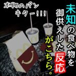 【事故物件】初めてのマクドナルド･編【心霊スポット、ユーチューバー】心霊、住んでみた、ガチ、日常、オカルト、怖い、映像、動画、幽霊、怪奇現象、There are ghosts in my house