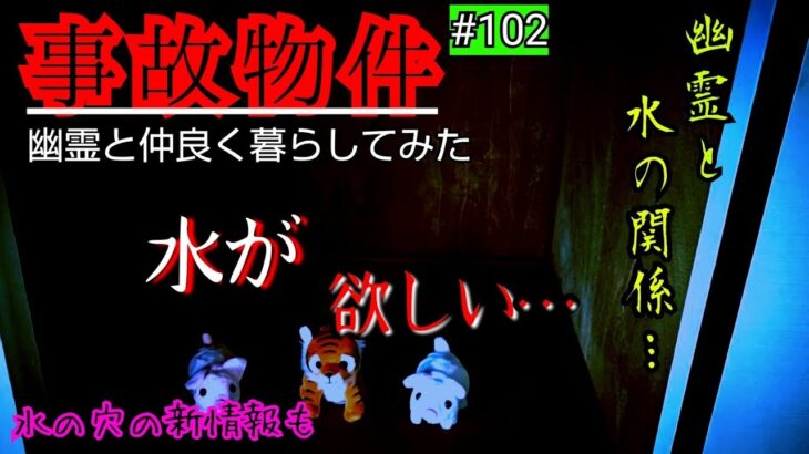 【事故物件】幽霊･心霊現象と水の関係が判明【心霊スポット、ユーチューバー】心霊、住んでみた、ガチ、日常、オカルト、廃墟、怖い、映像、動画、番組、There are ghosts in my house