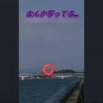 心霊スポットでUFO?!　　#心霊スポット#心霊写真#未確認飛行物体#UFO#写真