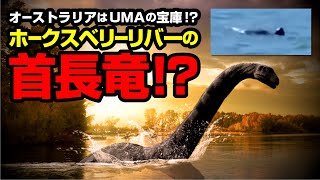 オーストラリアはUMAの宝庫！？ ホークスベリーリバーの首長竜！？