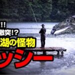 目撃多数‼ UMAと激突⁉ エリー湖の怪物 ベッシー