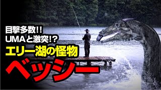 目撃多数‼ UMAと激突⁉ エリー湖の怪物 ベッシー