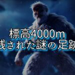 【UMA 未確認生物】イエティは実在する⁉︎