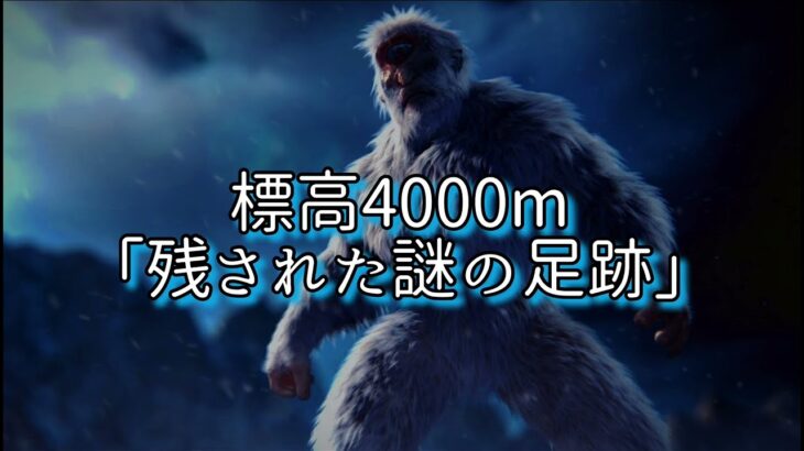 【UMA 未確認生物】イエティは実在する⁉︎