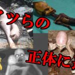 【衝撃！？】正体の明らかになった未確認生物(UMA)５選！！【ゆっくり解説】