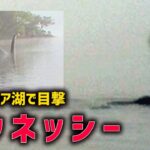 「ウィンダミア湖で撮影された水棲獣UMA」ボウネッシー