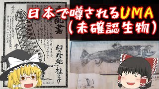 【UMA】日本で噂される未確認生物【ゆっくり解説】